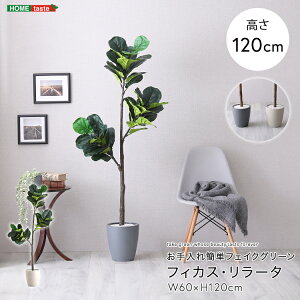 フェイクグリーン 人工観葉植物 観葉植物 鉢付 フィカス リラータ Sサイズ 120cm おしゃれ リアル グリーン お手入れ簡単 北欧 リアル ナチュラル オシャレ 小さめ フェイク リビング 寝室 玄