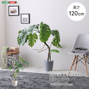 tFCNO[ lHϗtA ϗtA t Xe STCY 120cm  A O[ ȒP C A i` IV   tFCN rO Q