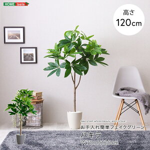 tFCNO[ lHϗtA ϗtA t pL STCY 120cm  A O[ ȒP k A i` IV   tFCN rO Q  