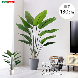 フェイクグリーン 人工観葉植物 観葉植物 鉢付 ストレリチア Lサイズ 180cm おしゃれ リアル グリーン お手入れ簡単 北欧 リアル ナチュラル オシャレ 送料無料 大きめ フェイク リビング 寝室