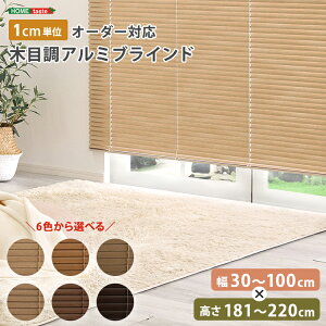 uCh A~ ډB uChJ[e ՔM blind A~uCh O J-e curtain k ؖ  I[_[ 1cm V I[V[Y ؖڒ 30`100cm×181`220cm I[