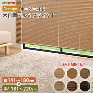 uCh A~ ډB uChJ[e ՔM blind A~uCh O J-e curtain k ؖ  I[_[ 1cm V I[V[Y ؖڒ 141`180cm×181`220cm I