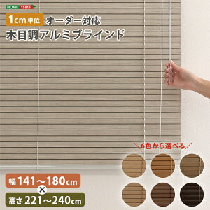 uCh A~ ډB uChJ[e ՔM blind A~uCh O J-e curtain k ؖ  I[_[ 1cm V I[V[Y ؖڒ 141`180cm×221`240cm I