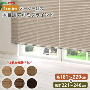 uCh A~ ډB uChJ[e ՔM blind A~uCh O J-e curtain k ؖ  I[_[ 1cm V I[V[Y ؖڒ 181`220cm×221`240cm I