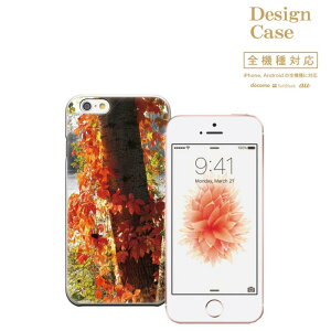�_P5�{ ���X���� ��Ҍ��Ձ^ �y5/20�`5/25�ziPhone8 plus iphone7�P�[�X �S�@��Ή� �X�}�z�P�[�X �P�[�X �X�}�z �g�уP�[�X Disney Mobile �f�B�Y�j�[ ���o�C�� �k�� �H �g�t �Y�� ���� �� �k �k�� ���R �L