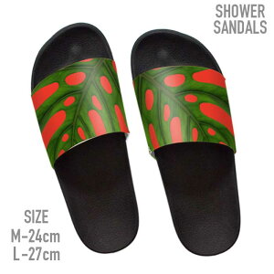 T_ r[`T_ T_ Xbp V[T_ O C  AEghA uh T_ 썑 ][g i` A S Xg[g street surf T[t T[t@[ t