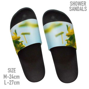 �T���_�� �r�[�`�T���_�� �T���_�� �X���b�p �V�����[�T���_�� ��O �C �� �A�E�g�h�A �u�����h �T���_�� �썑 ���]�[�g �i�`������ �A�� ���S �X�g���[�g street surf �T�[�t �T�[�t�@�[ �t����