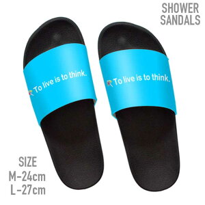 T_ r[`T_ T_ Xbp V[T_ O C  AEghA uh T_ 썑 ][g i` A S Xg[g street surf T[t T[t@[ t