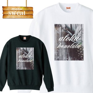 yubNtCf[X |Cg5{  11/20 20:00`11/27 01:59zXEFbg g[i[ Vv pineapple pCibv pC t[c gsJ aloha An nCA hawaiian a