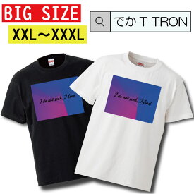 Tシャツ でかT TRON XXL XXXL　2L 3L BIG 大きめ 白Tee 黒Tee フォトT フォト 写真 グラデーション かっこいい ストリート スケーター HIPHOP ヒップホップ ブラック ホワイト オーバーサイズ ビッグサイズ Big size 大きめ 小さ