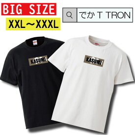 ビッグサイズ　Tシャツ でかT TRON オーバーサイズ 大きめ 白Tee 黒Tee 霞 霞ヶ浦 霞水系 バス釣り アングラー 釣り 釣り師 バスボート ウェア カラバリ バスフィッシング 湖 ダム リザーバー クリーク ブラック ホワイト オーバーサイズ ビッグサ