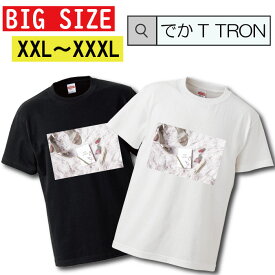 ビッグサイズ　Tシャツ でかT TRON オーバーサイズ 大きめ 半袖 トップス 半袖シャツ カットソー マニキュア ヒール 靴 パンプス サンダル 小物 女性 ふわふわ 姫系 淡い グッツ 雑貨 お洒落 可愛い かっこいい デザイン 人気 黒白Tシャツ