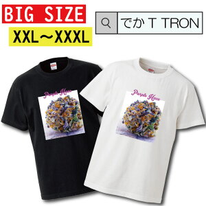 �_���Ԍ���10%OFF SS�Z�[���^ �y�N�[�|���L������ 5/9�`5/17�zT�V���c �r�b�O�T�C�Y BIG SIZE �ł�T TRON �傫�� �I�[�o�[�T�C�Y ���Q�G hiphop ���Q�G ���R SMOKE �A�� �� ��ÐA�� �� �� �ʐ^ �t�H�g �t