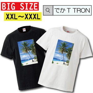 T�V���c �r�b�O�T�C�Y BIG SIZE �ł�T TRON �傫�� �I�[�o�[�T�C�Y WEST COAST ���C�� surf �C �T�[�t �T�[�t�B�� westside �E�G�b�T�C california losangels �X�g���[�g �X�g���[�g�n �ʐ^ �t�H�g �t�H�gT �v��