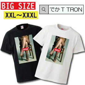 ビッグサイズ　Tシャツ でかT TRON オーバーサイズ 大きめ bitch ビッチ セクシー sexy 裸 ヌード 網タイツ logo 女性 ストリップ 下着 下着姿 ストリート ストリート系 写真 フォト フォトT プリント デザイン 洋服