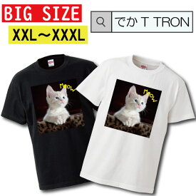 Tシャツ 大きいサイズ でかT TRON XXL XXXL　2L 3L 猫 ネコ ねこ cat キャット ペット 野良猫 ぬこ ketty キティ ニャンコ にゃんこ動物 animal 可愛い cute キュート pretty プリティー 写真 フォト フォトT プリント デザイン 洋服