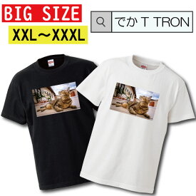 Tシャツ ビッグサイズ BIG SIZE でかT TRON 大きめ オーバーサイズ 猫 ネコ ねこ cat キャット ペット 野良猫 ぬこ ketty キティ ニャンコ にゃんこ動物 animal 可愛い cute キュート pretty プリティー 写真 フォト フォトT プリント デザイン 洋服