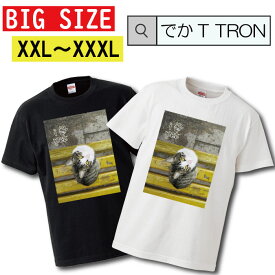 Tシャツ でかT TRON XXL XXXL　2L 3L BIG 大きめ 猫 ネコ ねこ cat キャット ペット 野良猫 ぬこ ketty キティ ニャンコ にゃんこ動物 animal 可愛い cute キュート pretty プリティー 写真 フォト フォトT プリント デザイン 洋服