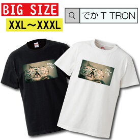 Tシャツ ビッグサイズ BIG SIZE でかT TRON 大きめ オーバーサイズ 猫 ネコ ねこ cat キャット ペット 野良猫 ぬこ ketty キティ ニャンコ にゃんこ動物 animal 可愛い cute キュート pretty プリティー 写真 フォト フォトT プリント デザイン 洋服