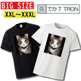 Tシャツ 大きいサイズ でかT TRON XXL XXXL　2L 3L 猫 ネコ ねこ cat キャット ペット 野良猫 ぬこ ketty キティ ニャンコ にゃんこ動物 animal 可愛い cute キュート pretty プリティー 写真 フォト フォトT プリント デザイン 洋服