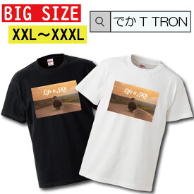 Tシャツ ビッグサイズ BIG SIZE でかT TRON 大きめ オーバーサイズ sk8 スケボー スケートボード オーリー キックフリップ 180 street スポーツ 遊び ロゴ 写真 フォト フォトT プリント デザイン 洋服 t-shirt 白 黒