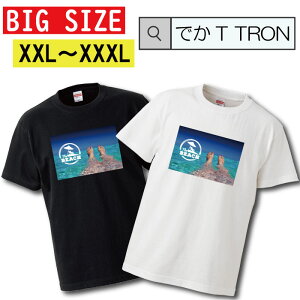 �_���Ԍ���10%OFF SS�Z�[���^ �y�N�[�|���L������ 5/9�`5/17�zT�V���c �r�b�O�T�C�Y BIG SIZE �ł�T TRON �傫�� �I�[�o�[�T�C�Y guam �O�A�� aloha hawaii �A���n �n���C �����O�r�[�` �J���t�H���j�A summe