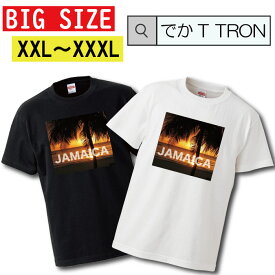 【※スーパーセール限定クーポン発行中※ 6/4 20:00～6/11 01:59まで！】 Tシャツ ビッグサイズ BIG SIZE でかT TRON 大きめ オーバーサイズ rasta jamaica reggae レゲエ onelove ラスタ ジャマイカ roots ルーツ ラブダバ ラバーズ music dj ganja