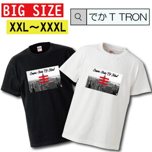 �_���Ԍ���10%OFF SS�Z�[���^ �y�N�[�|���L������ 5/9�`5/17�zT�V���c �r�b�O�T�C�Y BIG SIZE �ł�T TRON �傫�� �I�[�o�[�T�C�Y new york empire state of mind �j���[���[�N �u���b�N���� �A�����J hiphop �q�b