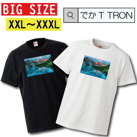 Tシャツ 大きいサイズ でかT TRON XXL XXXL　2L 3L ロッキー山脈 rocky montain マウンテン 自然 景色 風景 写真 フォト フォトT プリント デザイン 洋服