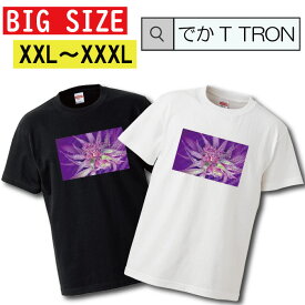 ビッグサイズ　Tシャツ でかT TRON オーバーサイズ 大きめ レゲエ 星条旗 植物 hiphop 草 レゲエ 麻 草 自然 巻煙草 T-shirt ティーシャツ 半袖 大きいサイズあり big size ビックサイズ