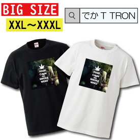 ビッグサイズ　Tシャツ でかT TRON オーバーサイズ 大きめ レゲエ 星条旗 植物 パイプ hiphop 草 レゲエ 麻 草 自然 巻煙草 T-shirt ティーシャツ 半袖 大きいサイズあり big size ビックサイズ