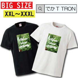 Tシャツ 大きいサイズ でかT TRON XXL XXXL　2L 3L T-shirt ティーシャツ 半袖 レゲエ レゲエ hiphop 植物 医療植物 ヒップホップ 巻煙草 music 草 自然 緑 SMOKE 大きいサイズあり big size ビックサイズ