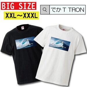 �_���Ԍ���10%OFF SS�Z�[���^ �y�N�[�|���L������ 5/9�`5/17�zT�V���c �r�b�O�T�C�Y BIG SIZE �ł�T TRON �傫�� �I�[�o�[�T�C�Y T-shirt �e�B�[�V���c ���� �ӂ���T �ʔ�T ���ӂ��� �ʔ��f�U�C�� �ʔ���