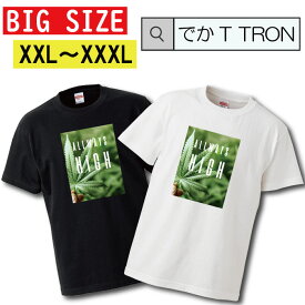 Tシャツ ビッグサイズ BIG SIZE でかT TRON 大きめ オーバーサイズ T-shirt ティーシャツ 半袖 レゲエ hiphop 植物 草 自然 レゲエ 大きいサイズあり big size ビックサイズ