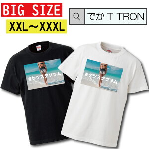 �_���Ԍ���10%OFF SS�Z�[���^ �y�N�[�|���L������ 5/9�`5/17�zT�V���c �r�b�O�T�C�Y BIG SIZE �ł�T TRON �傫�� �I�[�o�[�T�C�Y T-shirt �e�B�[�V���c ���� sexy ���K �P�c ass ���� �Z�N�V�[ cute T�o�b�N 