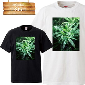 楽天市場 アパレル Tシャツ 大麻デザイン Tron 楽天市場店 楽天市場 アパレル Tシャツ 大麻デザイン Tron 楽天市場店