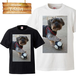 q v[g soccer football TbJ[ goal S[ {[ jtH[ OEh TbJ[  Nu club team `[ K S[L[p[ I {\ ʐ^ tHg tHgT TV