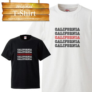 �J���t�H���j�A california ���C�� �T�[�t SURF westcoast ���S �A�����J�� T�V���c T-shirt �e�B�[�V���c ���� �傫���T�C�Y���� big size �r�b�N�T�C�Y