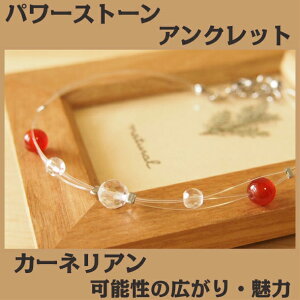 p[Xg[ ANbg fB[X J[lA VR ANbg | ANbg ςȂ yA av[g 蕨 Mtga gݍ킹 ANZT[ 킢 