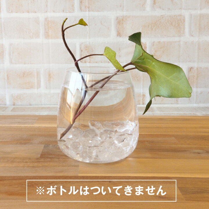 楽天市場】I WISH ボトル用天然石 本水晶さざれ タイガーアイ さざれ 
