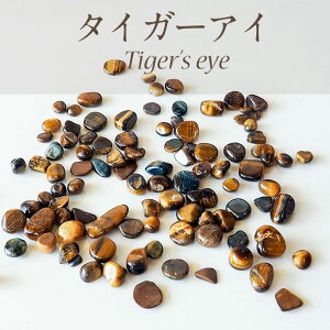 p[Xg[ 򉻃Zbg hCc VR g[  Iׂ  80g VR | p[Xg[   p[Xg[ 򉻎M ANZT[ ۊ P[X [  `NH[c