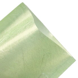 Z-39（500枚）115×140mm 極薄雲竜 若草（中）脱酸素剤対応袋 雲流 雲龍 和紙風 福重（取寄せ商品）（北海道・沖縄への発送は行っておりません）