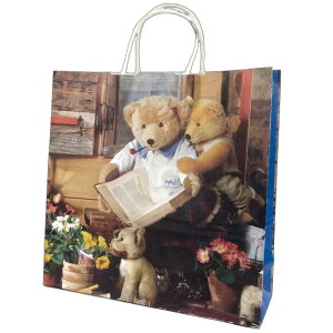 ��񎆑� X�^�i3�؁jHX �n�j�[�x�A�[ �i50��×4��j320×110×320mm �ەR �������� �p�b�N�^�P���}�i�k�C���E����ւ̔����͍s���Ă���܂���j