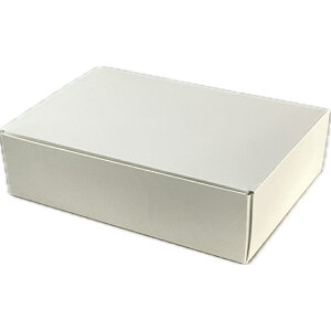 yaCzSDMtg ~L[ 24×18i60jEAPB Evolution 󒍂甭܂10ȏォ܂ Mtg َqlߍ킹p aCikCEւ͍̔sĂ܂j