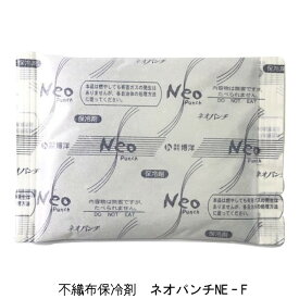 不織布保冷剤 ネオパンチ NE-500F（500g×30個） 22×15cm 保冷材 博洋（北海道・沖縄への発送は行っておりません）