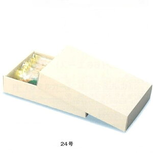 LPT[u 24i50j 212×287×56mm [tpCP[X/ĂَqMtgpbP[WVi񂹏ijikCEւ͍̔sĂ܂j