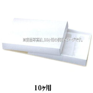 B20110 eB[^C zCg 10pi100j(̂)(g[) 248×165×48 َqpMtg pbP[WVi񂹏ijikCEւ͍̔sĂ܂j