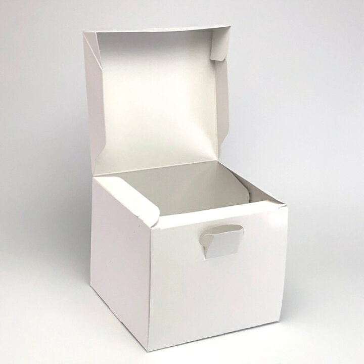 楽天市場】ロックBOX120 プレス 160 (4.5寸用)（100枚） 内寸160×160 