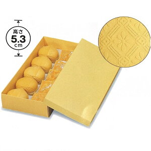 He lߍ킹p #556 (100) 20p 285×276×53mm pbP[WV aَq(g[͕ʔ) iʐ^10płi񂹏ijikCEւ͍̔sĂ܂j