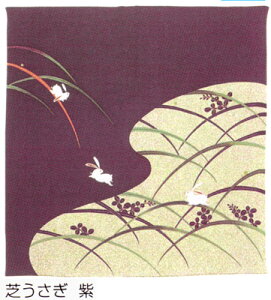 C~70cm߂łӂ낵@֗ŃGRȘa